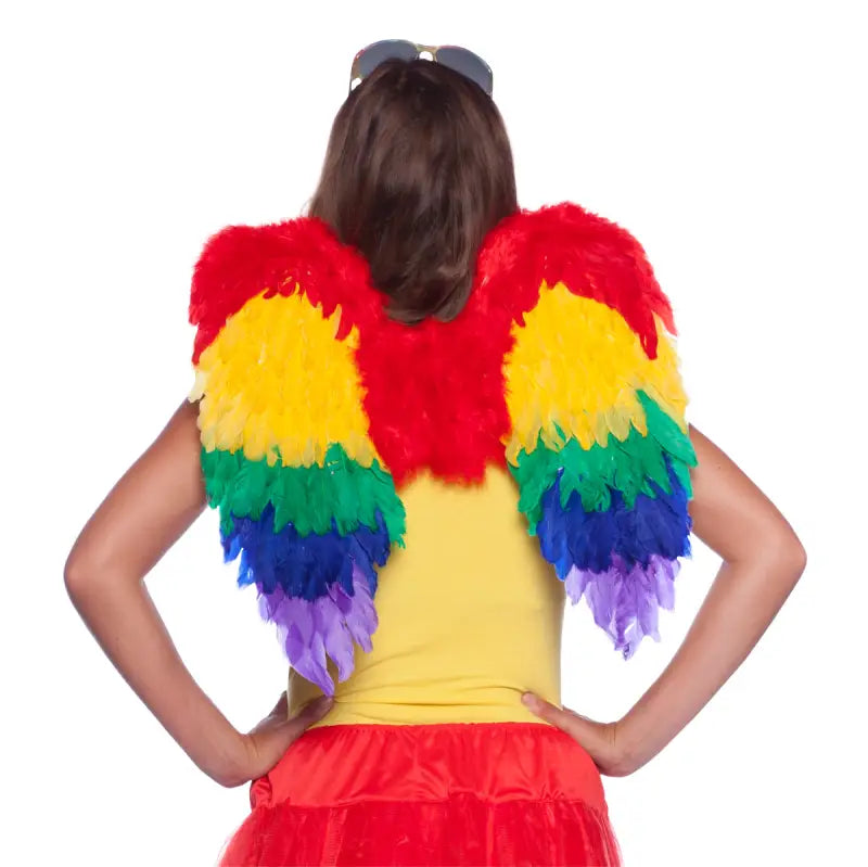 Angel Wings Rainbow - Vingar