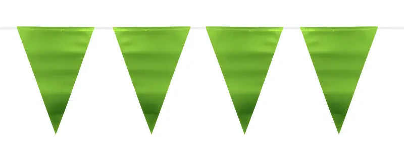 Green Metallic Matte Bunting - 6 meter - Girlang