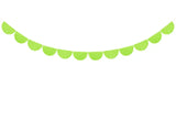 Scalloped fringe garland green apple 3m