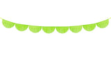 Scalloped fringe garland green apple 3m